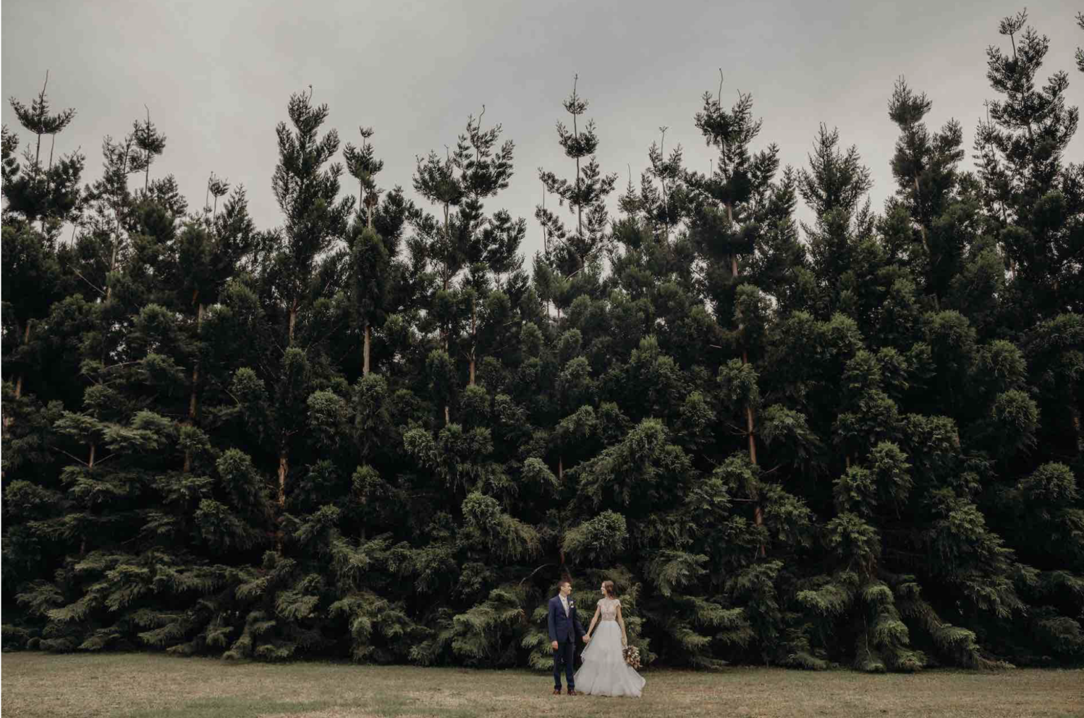 Couple standing before a wall of hoop pines at The Bower Estate